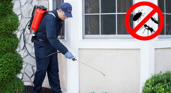 Yağcılar Gümüşkurt İlaçlama böcek ilaçlama ve haşere kontrolü — ilaclama-tr.com
